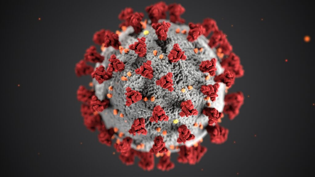 Séquençage génomique du Virus des Andes
