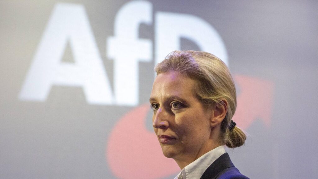 AfD : L’Alternative für Deutschland pourrait-elle remporter les prochaines élections allemandes? Alice Weidel est à la tête de l'AfD. Son orientation sexuelle a fait d'elle la meilleure personne pour représenter un parti vu comme trop conservateur.