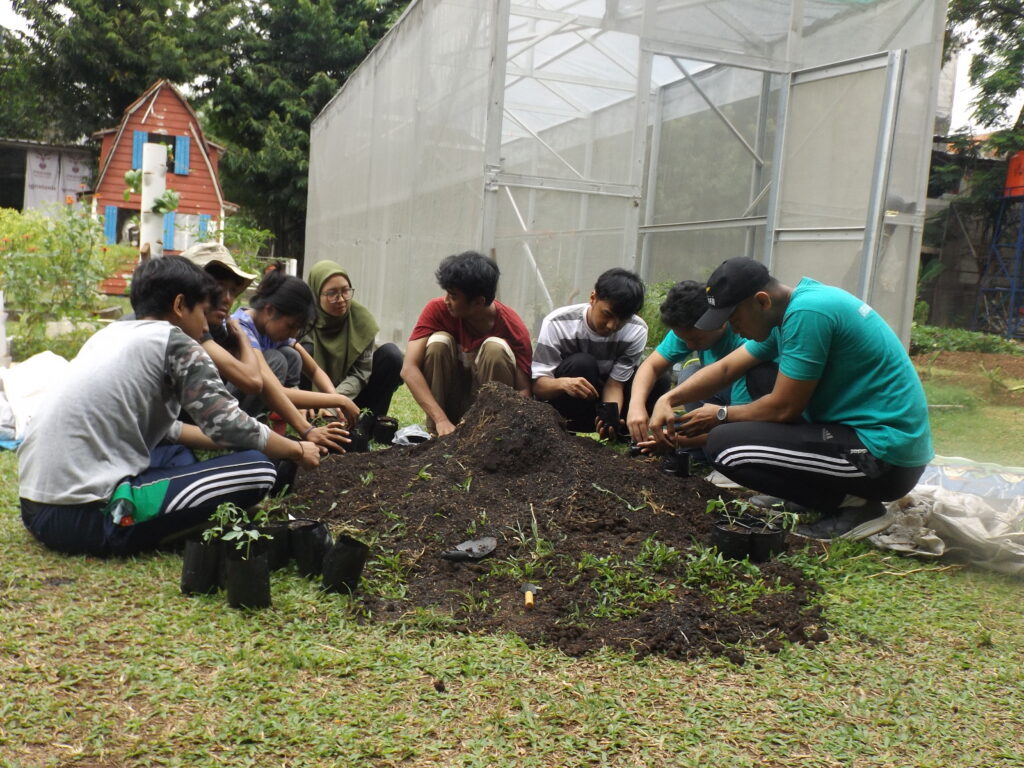 Jakarta : Récolter des légumes dans les fermes urbaines La plantation de légumes dans le jardin de l’Université Trilogi à Kalibata, dans le sud de Jakarta, implique des étudiants préparation des graines et des semis. ©Arpan Rachman
