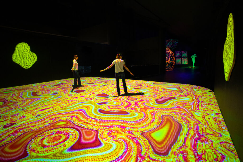 "Avec Pixels, mon intention est d’inviter les visiteurs, grâce à l’aide des outils technologiques, à plonger dans un univers artistique à la fois sensoriel et poétique." - Miguel Chevalier. ©Thomas Granovsky