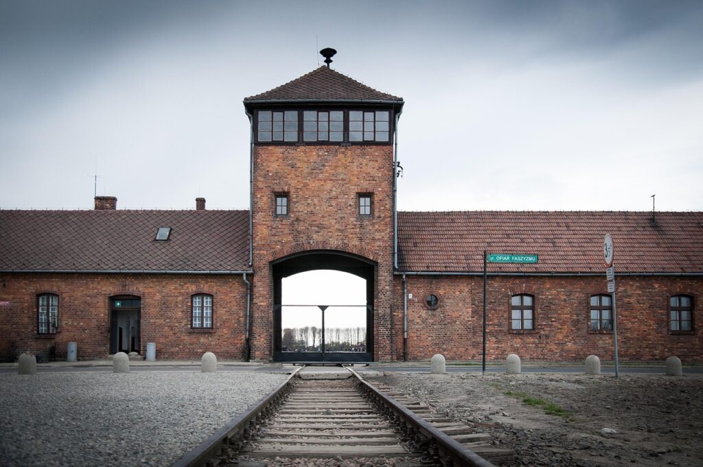 La Pologne déplacée, les Allemands expulsés, les Juifs rescapés abandonnés puis enracinés Le camp de concentration d'Auschwitz, un triste de rappel de l'horreur qu'ont vécue les juifs en Pologne. Cette partie de l'Histoire ne dévoile pourtant pas la misère qu'ont vécue les Juifs polonais après la fin de la guerre.