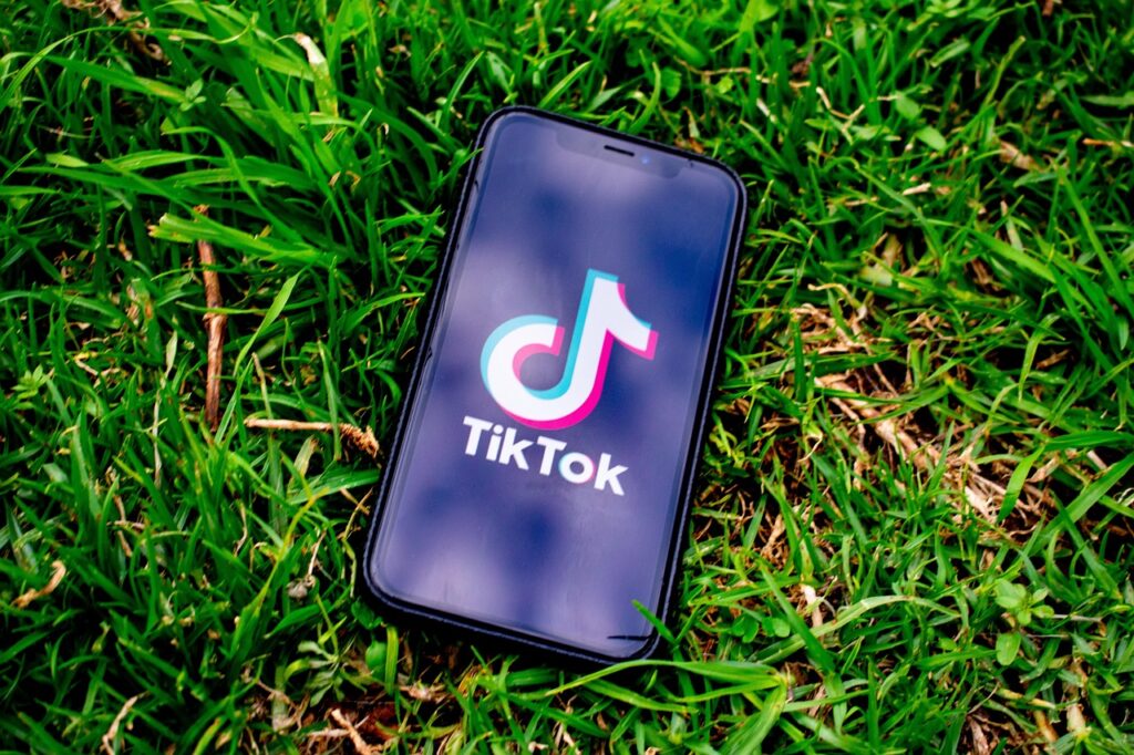 TikTok est une plateforme très critiquée pour son impact sur la santé mentale des jeunes. Malheureusement, leurs facultés intellectuelles sont également affectées.