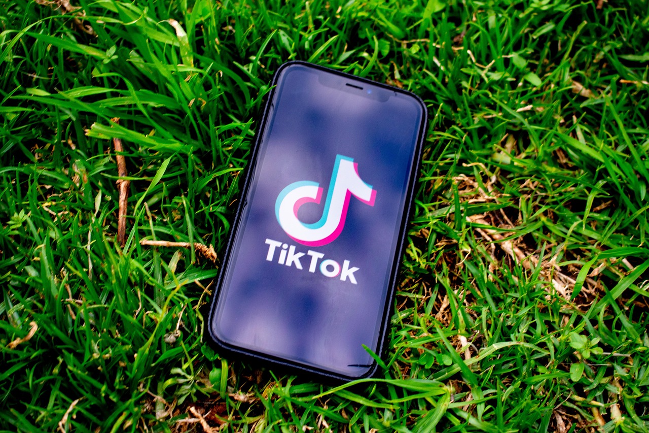 TikTok est une plateforme très critiquée pour son impact sur la santé mentale des jeunes. Malheureusement, leurs facultés intellectuelles sont également affectées.