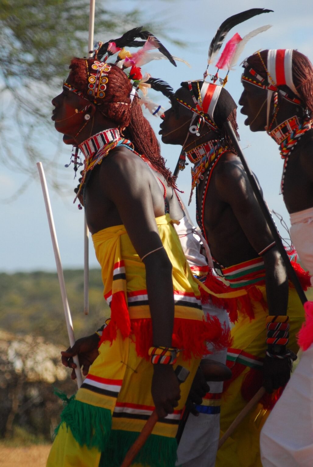 Des guerriers africains