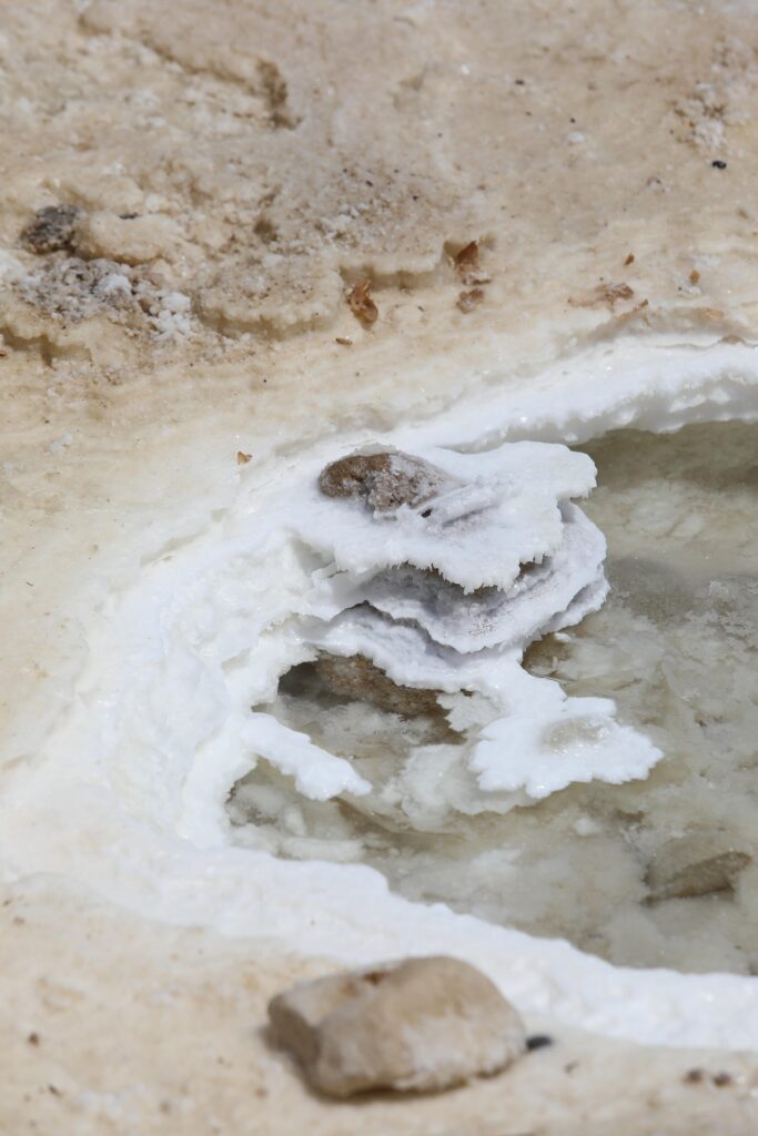 La mer morte d'Israël est un célèbre endroit pour les touristes mais évidemment, Israël souhaite aussi protéger d'autres zones importantes pour sa biodiversité.