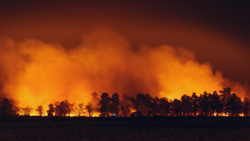 Pompiers français luttant contre un incendie de forêt aux Pays-Bas
