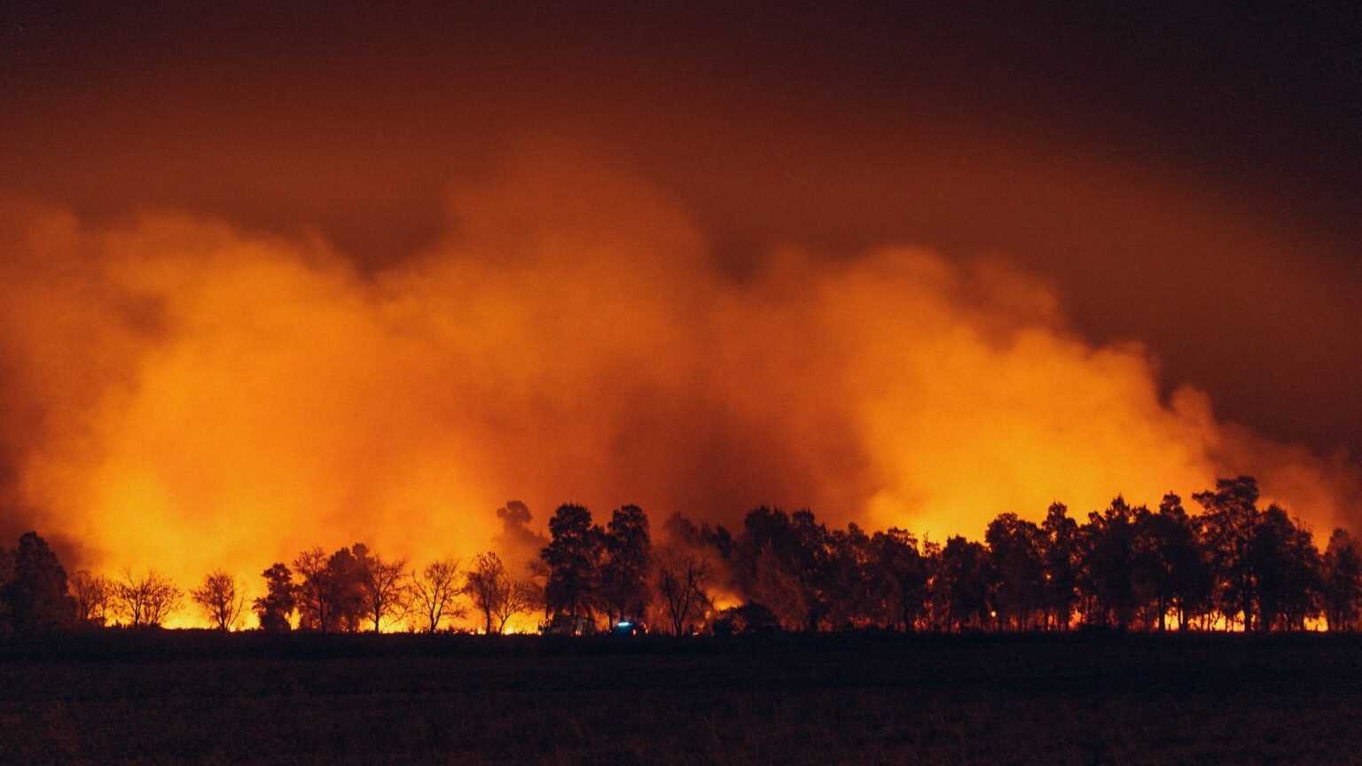 Pompiers français luttant contre un incendie de forêt aux Pays-Bas