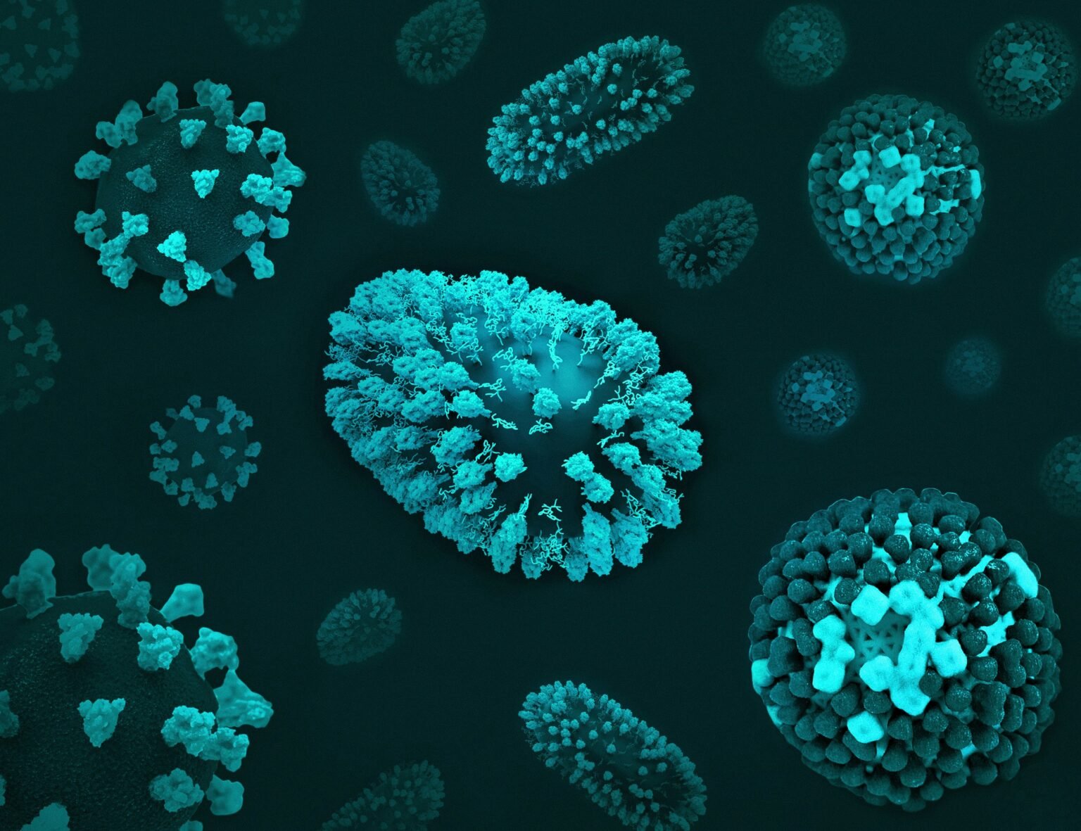 Un ressortissant espagnol évacué du MV Hondius testé positif au hantavirus Hôpital traitant un hantavirus