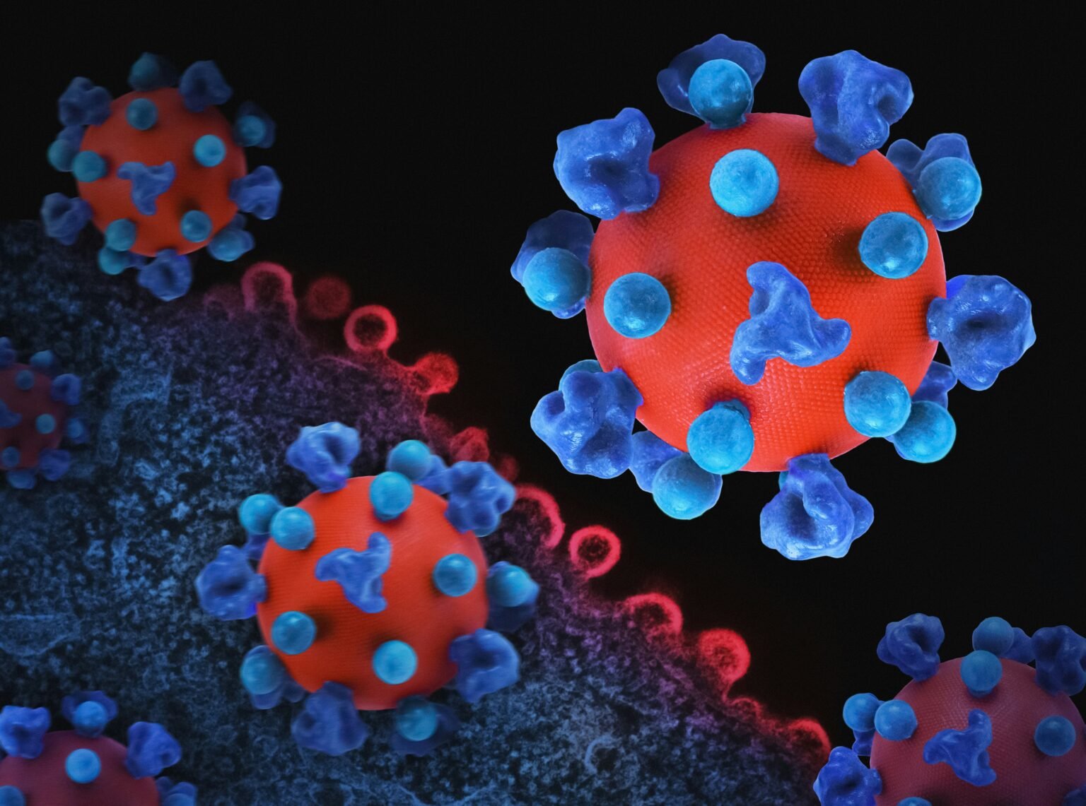 Dispositif de dépistage transfrontalier lié à l’Épidémie d’Ebola.