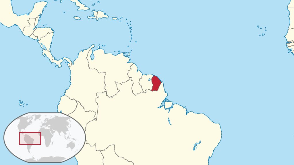 moustique vecteur du chikungunya
