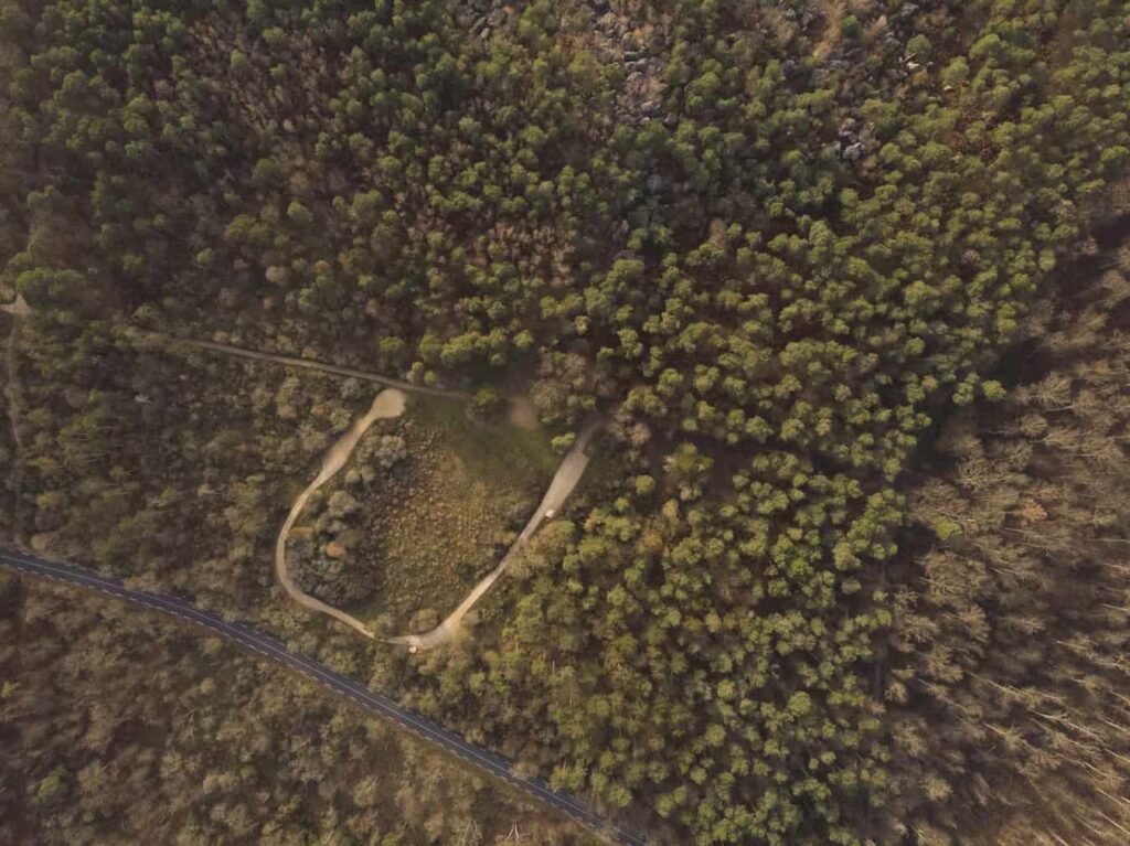 Emmanuel Macron annonce le reboisement de la forêt de Fontainebleau Emmanuel Macron inspecte la forêt de Fontainebleau