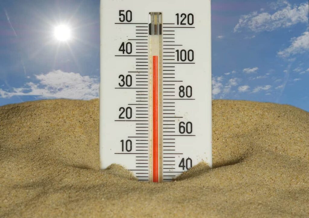Canicule en France : une crise sanitaire majeure avec 2000 décès en une seule semaine Canicule en France impactant Paris