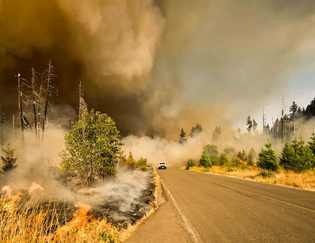 Un avion largue du retardant sur les incendies de forêt à Ille-sur-Têt.