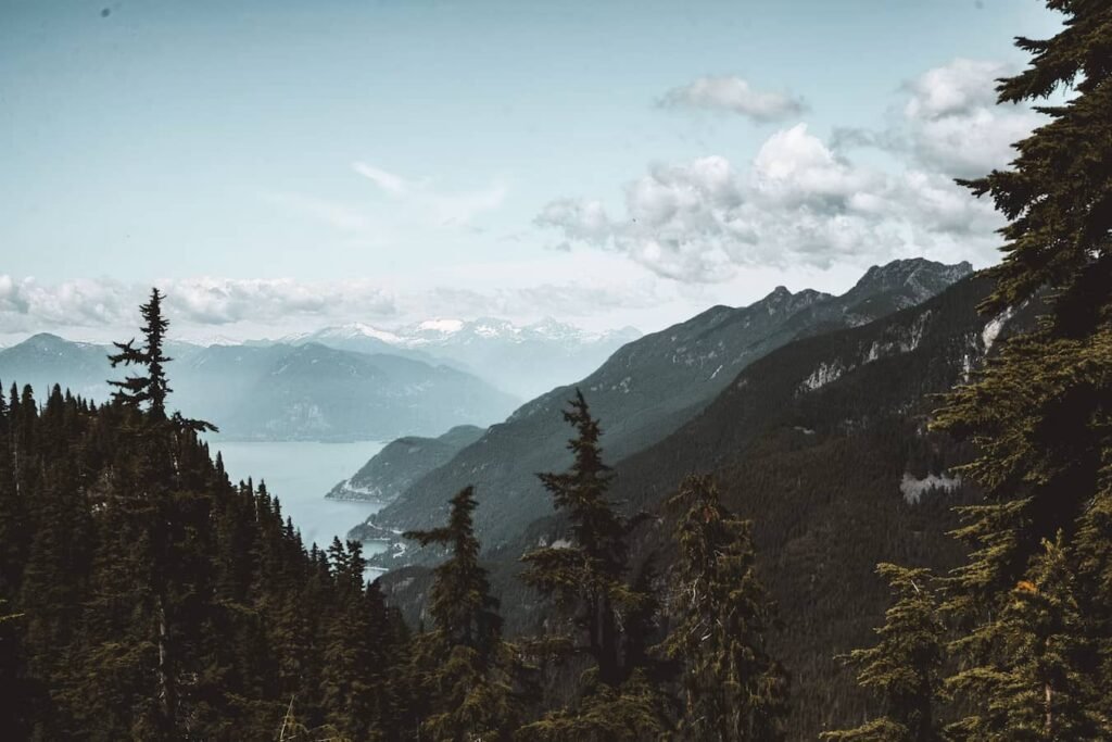Summerland évacuée en urgence alors que le feu Bald Range atteint 5 000 hectares Épaisse colonne de fumée grise s'élevant au-dessus des collines boisées de l'Okanagan