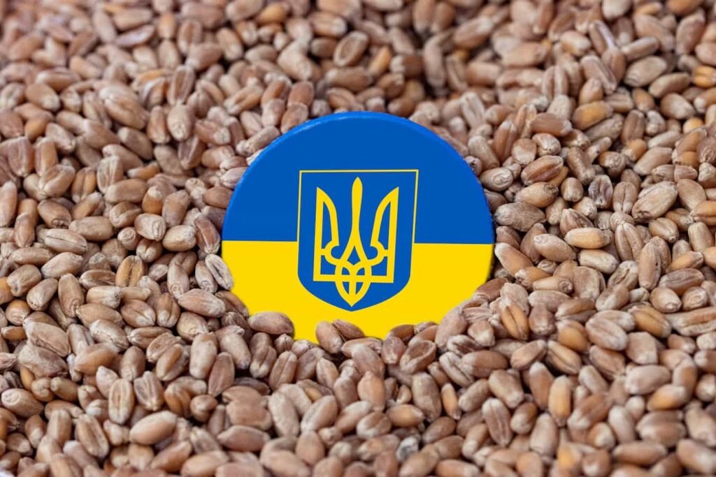 Les frappes sur Odesa obligent l’Ukraine à baisser fortement ses exportations de blé