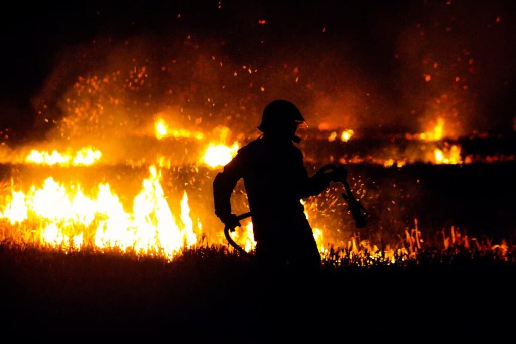 La Tieule évacuée en urgence après un incendie massif de 90 hectares en Lozère