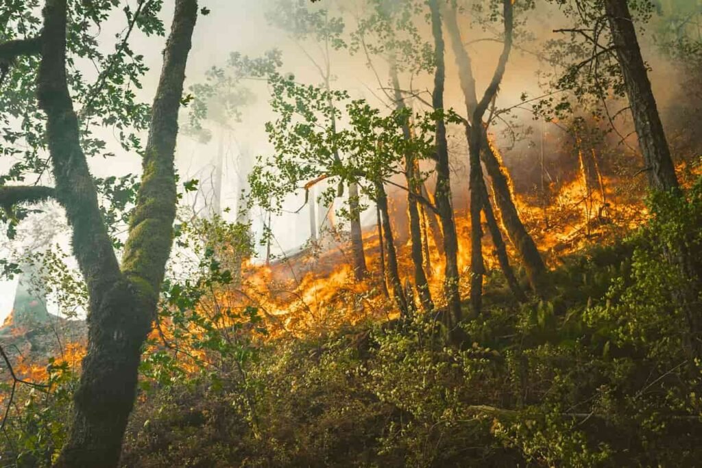 Épais panache de fumée orange s'élevant d'une forêt en feu au-dessus d'une colline
