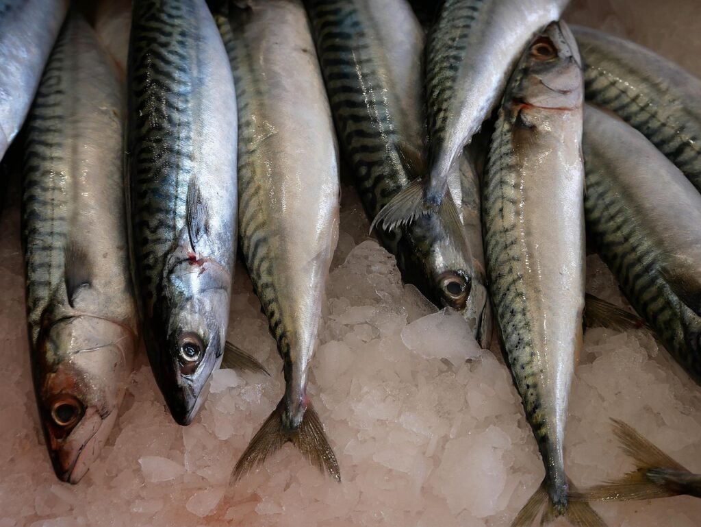 Au Kenya, choisir son poisson devient un véritable dilemme sanitaire Du poisson sur le marché. ©Yves Bernardi